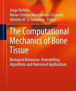 The Computational Mechanics of Bone Tissue