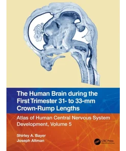 The Human Brain during the First Trimester 31- to 33-mm Crown-Rump Lengths Atlas of Human Central Nervous System Development
