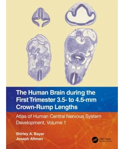 The Human Brain during the First Trimester 3.5- to 4.5-mm Crown-Rump Lengths