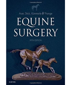 Saunders Equine Surgery