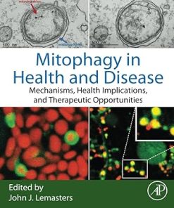 Mitophagy in Health and Disease