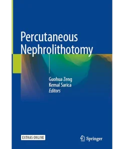 Percutaneous Nephrolithotomy