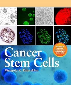Cancer Stem Cells