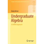 Undergraduate Algebra A Unified Approach