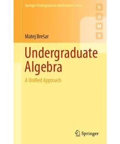 Undergraduate Algebra A Unified Approach