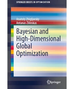 Bayesian and High-Dimensional Global Optimization