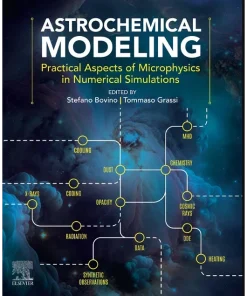 Astrochemical Modeling Practical Aspects of Microphysics in Numerical Simulations