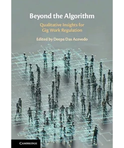 Beyond the Algorithm Qualitative Insights for Gig Work Regulation
