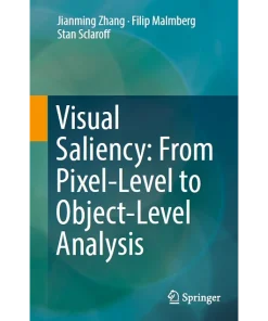 Visual Saliency From Pixel-Level to Object-Level Analysis