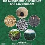 Biochar Ecotechnology for Sustainable Agriculture and Environment