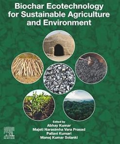Biochar Ecotechnology for Sustainable Agriculture and Environment