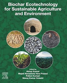 Biochar Ecotechnology for Sustainable Agriculture and Environment