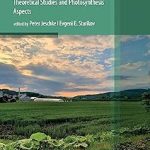 Agricultural Biocatalysis Theoretical Studies and Photosynthesis Aspects