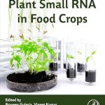 Plant Small RNA in Food Crops