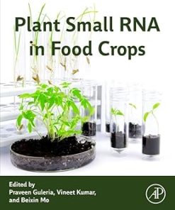 Plant Small RNA in Food Crops