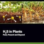 H2S in Plants Past Present and Beyond
