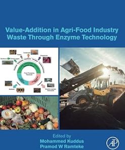 Value-Addition in Agri-Food Industry Waste Through Enzyme Technology