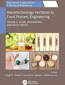 Nanotechnology Horizons in Food Process Engineering