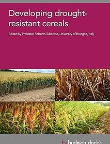 Developing Drought-Resistant Cereals