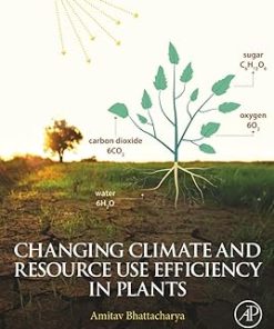 Changing Climate and Resource Use Efficiency in Plants