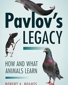 Pavlov's Legacy How and What Animals Learn