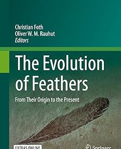 The Evolution of Feathers