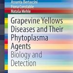 Grapevine Yellows Diseases and Their Phytoplasma Agents