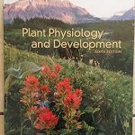 Plant Physiology and Development