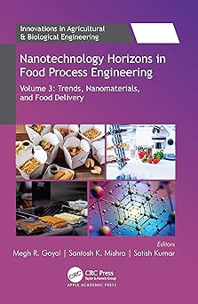 Nanotechnology Horizons in Food Process Engineering