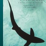 Princeton University Press The Lives of Sharks