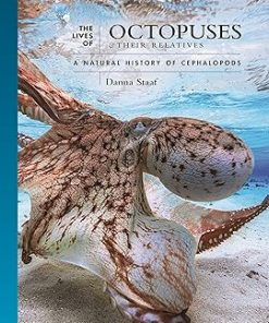 The Lives of Octopuses and Their Relatives