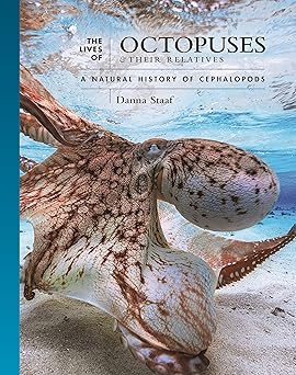 The Lives of Octopuses and Their Relatives