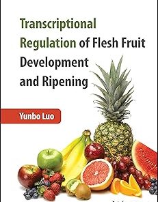 Transcriptional Regulation of Flesh Fruit Development and Ripening