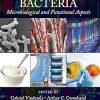 Lactic Acid Bacteria