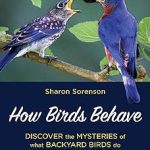 How Birds Behave
