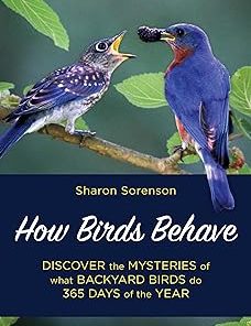How Birds Behave