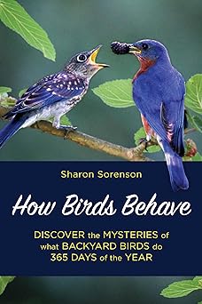 How Birds Behave