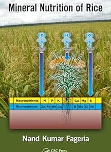Mineral Nutrition of Rice