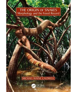 The Origin of Snakes Morphology and the Fossil Record