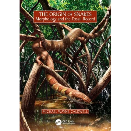 The Origin of Snakes Morphology and the Fossil Record