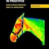 Equine Thermography in Practice