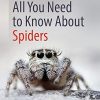 All You Need to Know About Spiders