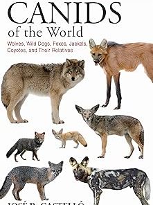 Canids of the World