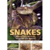 Random House Books for Young Readers Field Guide to Snakes and other Reptiles of Zambia and Malawi