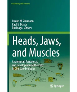 Heads Jaws and Muscles