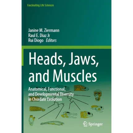 Heads Jaws and Muscles