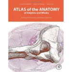 Atlas of the Anatomy of Dolphins and Whales