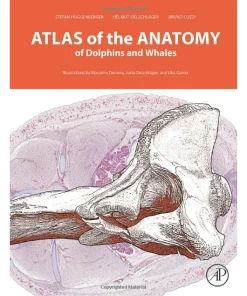 Atlas of the Anatomy of Dolphins and Whales
