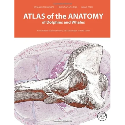 Atlas of the Anatomy of Dolphins and Whales