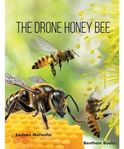 The Drone Honey Bee